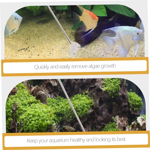 Aquarium Cleaning Kit 3-Piece Set of Fish Tank Maintenance Tools Glass Scraper Scissors and Tweezers for Aquatic Plants and Terrarium Care