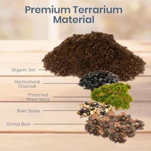 DIY Terrarium Kit for Succulents & Air Plants, Terrarium Starter Kit with Organic Soil, Orchid Bark, Horticultural Charcoal, River Rocks & Preserved Moss for Fairy Gardens & Mini Terrariums (Large)