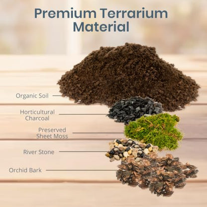 DIY Terrarium Kit for Succulents & Air Plants, Terrarium Starter Kit with Organic Soil, Orchid Bark, Horticultural Charcoal, River Rocks & Preserved Moss for Fairy Gardens & Mini Terrariums (Large)