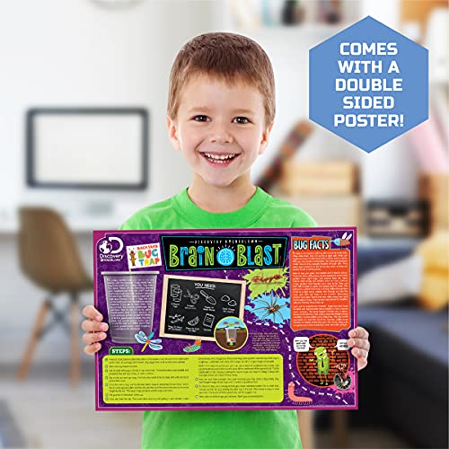 Discovery #MINDBLOWN DIY Terrarium Grow Kit, Fast-Growing Indoor Mini Garden, Create A Living Ecosystem, Includes Sand, Seeds, Potting Mix, Stones and More