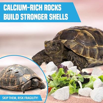 JOR Calcium Rocks for Turtles, Ideal for Shrimps, Crayfish, Hermit Crabs, and Snails, Water Conditioner for 14-Gallon Tank, Aquarium Décor, Approximately 0.5", 3-6 Pieces, 2 oz.