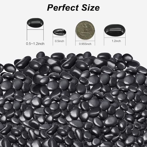 Pebbles for Indoor Plants,Virekm River Rocks,Decorative Ornamental Pebbles | Garden Landscaping Stones Gravel Filler for Home Decoration Flower Bed Fish Tank Plants Vases Succulents (10 Pounds) - color: BLACK, size: 10 Pounds