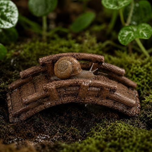 Pet Snail Hideout and Climbing Bridge Set for Terrarium Habitat Decor (Hideout) | Low-Profile Bark-Style Hideout and 17 cm Bridge for Natural Resting and Crawling Routes