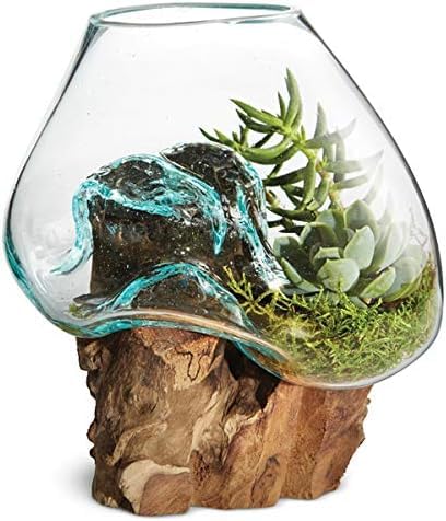 OMA Molten Glass on Driftwood – Hand-Blown Melted Glass Vase, Terrarium, or Planter for Coastal & Boho Home Décor (6"–7" High) - size: 6" High