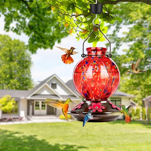 Glass Hummingbird Feeders for Outdoors Hanging, Hand Blown, Red | With Ant-Moat, 20oz, 5 Bee-Proof Ports, 360° Perch, Leak-Proof, Meshy Texture Ball Shape, Gifts for Women Men Mom Dad - color: Rising Red