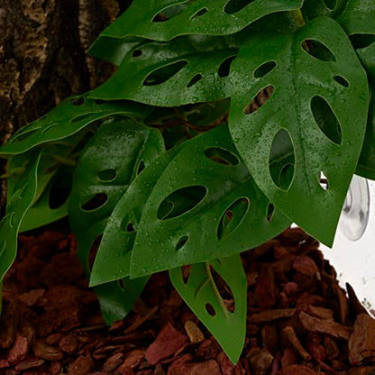 Fake Monstera Adansonii, Reptile Terrarium Suction Plants | For Gecko Snake Lizard Rainforest Habitat - color: Fake Swiss Cheese Plants Monstera Adansonii