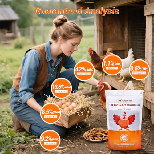 Dried Insect Trail Mix for Chickens - High Protein 42% & Calcium 1.1% for Egg Laying - Natural Treat for Birds, Reptiles, Ducks, Hedgehogs - 1 Lbs Resealable Bag