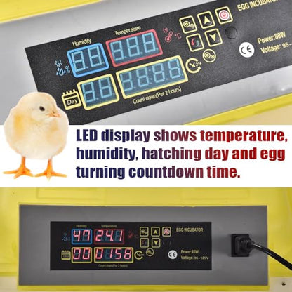 GRAND ORANGE Egg Incubator Automatic Digital Poultry Hatcher Machine | Breeder with Temperature Control and Auto Turning for Hatching Chicken Duck Goose Quail Birds (96 Eggs) - size: 96 Eggs