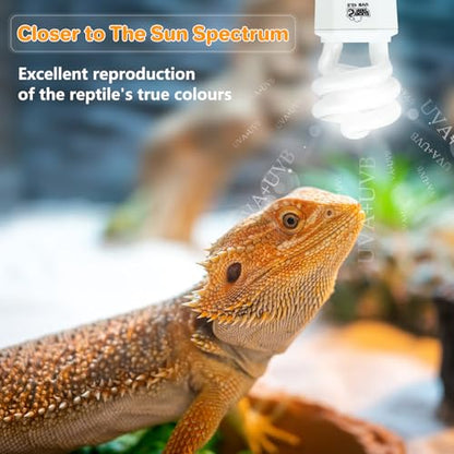 LUCKY HERP UVA UVB Reptile Light 10.0, Desert UVB 150 Compact Fluorescent Lamp, UVB Light for Reptiles 15W, UVA UVB Reptile Light Bulb, UVB Bulb for Reptiles Bearded Dragons Lizards Tortoises Snakes - style: UVB10.0 15W