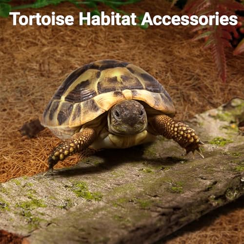 10 Pcs Reptile Carpet 12x12 Inch Coconut Fiber Mat for Tank Bedding | Natural Coconut Fiber Reptile Carpet Liner Flooring, Absorbent & Reusable For Bearded Dragons, Tortoises, Lizards & Geckos - size: 10 Pcs (12X12in)