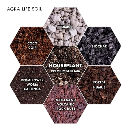 Agralife Houseplant Soil 4 Quarts Premium Organic Mix for Indoor Plants | Balanced moisture. Healthy growth. Premium organic soil supports monstera, pothos, snake plants, and more. - style: House Plant Soil Mix