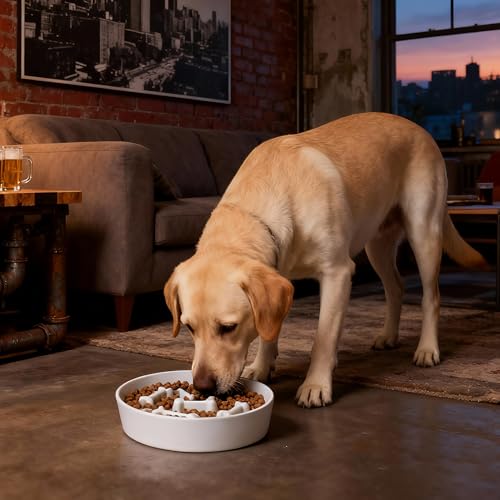 Ceramic Slow Feeder Dog Bowls, Ceramic Slow Feeder Maze Dog Food Bowl, Slow Eating Dog Bowl and Slow Feeder Dog Bowl Anti-Choking for Daily Pet Feeding （White Bone） - color: White Bone