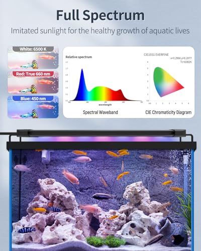 Pawfly 6 W Aquarium LED Light for 6" to 10" Fish Tanks Extendable Fish Tank Light with Full Spectrum Brilliant White Blue Red Lights with Daytime & Night Modes and Adjustable Brightness - color: Basic, size: 6"-10"