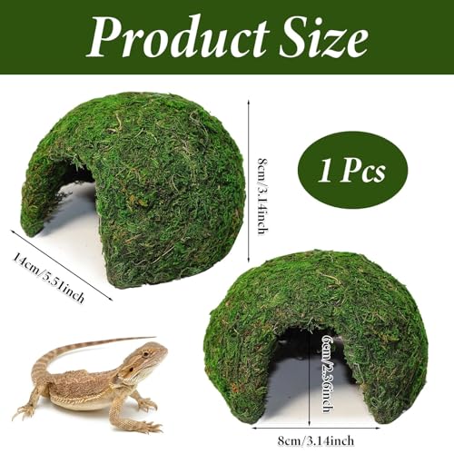 Reptile Moss Hideout, Half Round Cave for Lizards Snakes Frogs | Reptile Moss Hideout, Half-round dome shape, Full moss exterior coverage, Spacious interior room, Stable on all substrates