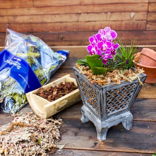 SuperMoss (22330) Orchid Sphagnum Moss Dried, Natural, 2.1lbs Small Bale - size: 2.1 lbs, style: Small Bale (Fertilizer)