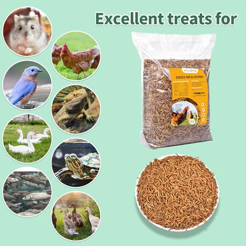 Dried Mealworms 5LB-High Protein Chicken Feed,More Protein,No Additives,Premium Organic Non-GMO,Rich in Protein Meal Worms for Chickens,Wild Birds,Laying Hens,Turkeys-Nutrient-Rich Mealworms - size: 5 Pound (Pack of 1)