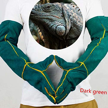 YBB Animal Handling Anti-bite/Scratch Gloves for Dog Cat Bird Parrot Pet (Green) - color: Dark Green