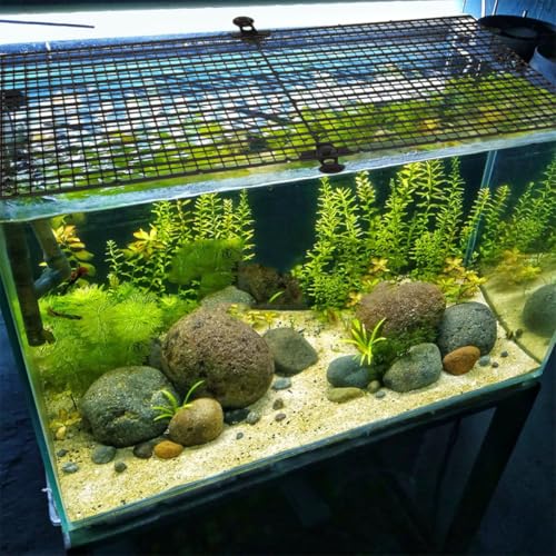 Kisangel 1set Fish Tank Divider Board Cups Jump Splicing Plate for Aquarium Separation Prevents Fish from Jumping for Betta