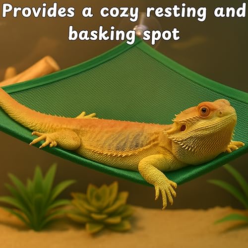 Bearded Dragon Reptile Hammock Enrichment Cage Accessories, Bearded Dragon Feeder Ball and Breathable Mesh Hammock, Lizard Hammocks Lounger Bed Rest and Feed Toy, Reptile Tank Accessories (Red) - color: Red