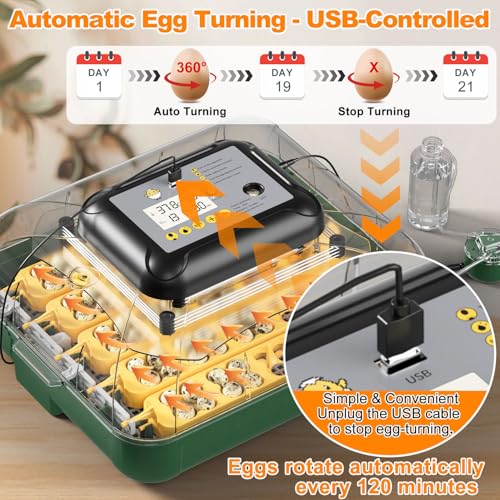 25 Egg Incubator for Hatching Eggs with Automatic Egg Turning, Temperature & Humidity Display, Hatch Day Countdown, Auto Water Refilling System, Egg Candler, Multifunctional Egg Tray for Chicken - size: M- 25 Chicken Eggs