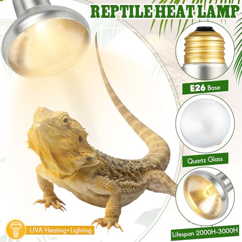 4 Pack 100 Watt Heat Lamp Bulbs for Reptiles 120V UVA Simulated Natural Sunlight Heating Lamp Bulb Basking Light for Chickens, Bearded Dragon, Lizard, Gecko, Turtle
