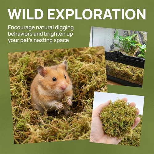 2.5 LB Sphagnum Moss for Plants, Long Fiber Orchid Moss for Carnivorous Plants, Terrariums and Indoor Potting, Compressed Sphagnum Bricks.
