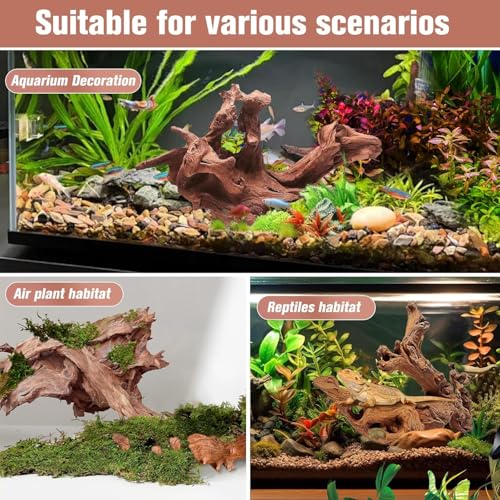 2-Piece 10-14 inch Natural Aquarium Driftwood Decorations - Aquascape Decor for Fish Tanks, Betta Hideouts, Reptile Enclosures & Plant Attachment - size: Mopani Driftwood 10-14" (Pack of 2)