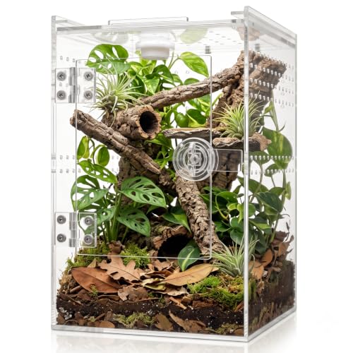 Tall Arboreal Tarantula Enclosure【𝐍𝐨 𝐀𝐬𝐬𝐞𝐦𝐛𝐥𝐲 𝐑𝐞𝐪𝐮𝐢𝐫𝐞𝐝】, Jumping Spider Enclosure, Front Above Opening, Cross Ventilation, Acrylic Arboreal Reptile Enclosure,Praying Mantis Enclosure - size: 6*6*9in