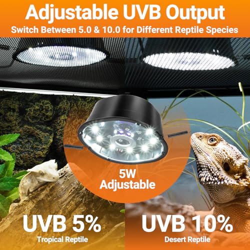 REPTIZOO 5-in-1 Reptile Terrarium Starter Kit, 20 Gallon Reptile Tank with Built-in Heating System PID Digital Thermostat & UVB Light (5.0&10.0 Adjustable) & Reptile Hide Cave & Feeding Dish - size: 5-in-1 Starter Kit
