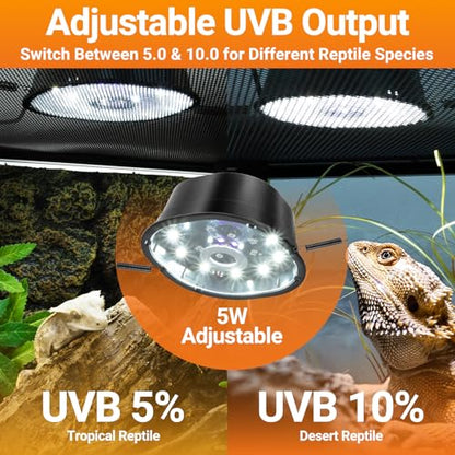 REPTIZOO 5-in-1 Reptile Terrarium Starter Kit, 20 Gallon Reptile Tank with Built-in Heating System PID Digital Thermostat & UVB Light (5.0&10.0 Adjustable) & Reptile Hide Cave & Feeding Dish - size: 5-in-1 Starter Kit