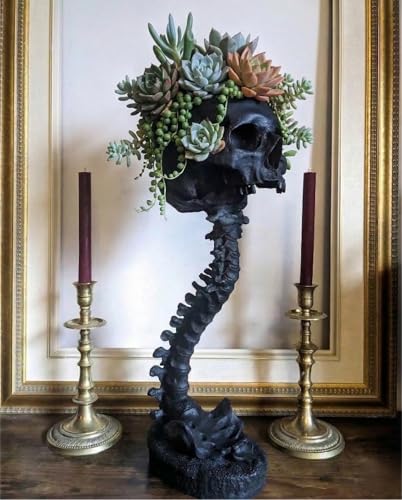 Resin Air Plant Holders,Tilandsia Container,Gothic Skeleton Planter,Halloween Plant Pot,Tillandsia Pot, Skull Table Top Display Planters for Air Plants and Other (11.6 * 5.7'',Black) - size: 11.6 * 5.7'',Black