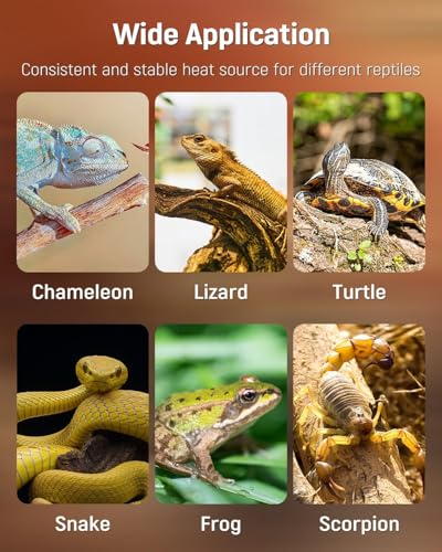 Pawfly Reptile Heat Pad with Thermostat & Timer - Reptile Heating Pad 8 x 5.9 Inch, 7 W Hermit Crabs Heating Pads, Heat Mat for Reptiles Turtles Frogs Snakes Lizards Geckos Plants Seedlings - size: 7 W (8 x 5.9 Inch)