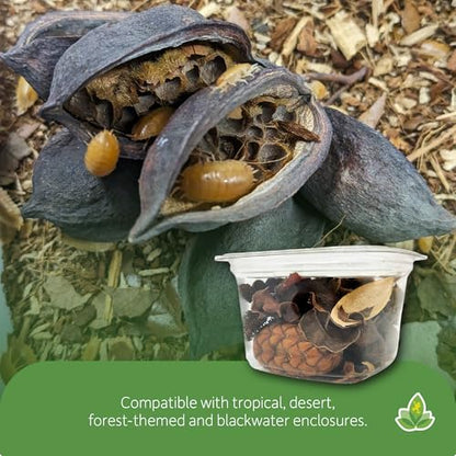 Josh's Frogs Assorted Substrate Botanicals for Orchid, Frogs, Reptiles and Fish | Josh's Frogs Assorted Substrate Botanicals for Orchid, Frogs, Reptiles and Fish