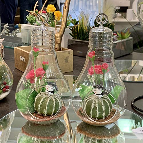 WGV Hanging Glass Plant Terrarium, Width 4.25", Height 8.25", Bulb DIY Air Succulent Planter Clear Tea Light Votive Candle Holder, Wedding Event Office Home Outdoor Decor, 1 Piece - size: Bulb L