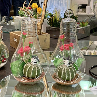 WGV Hanging Glass Plant Terrarium, Width 4.25", Height 8.25", Bulb DIY Air Succulent Planter Clear Tea Light Votive Candle Holder, Wedding Event Office Home Outdoor Decor, 1 Piece - size: Bulb L