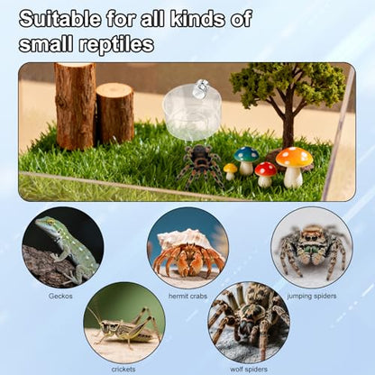 4pcs Jumping Spider Feeding Dish Set, Including Magnetic Water Bowl Dishes Dropper & Tweezer Small Pets Food Magnet Accessories for Tarantulas Reptiles Enclosure Supplies Dispenser Hide