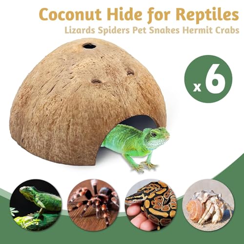 PINVNBY 6 PCS Natural Coconut Reptile Hideouts Lizard Coco Hut Hermit Crab Hut Aquarium Fish Hide Cave Spider Snail Climber Toys - size: 6 PCS Smooth Surface