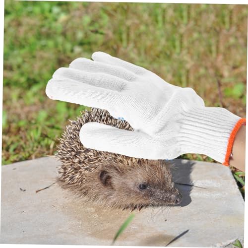 Operitacx Bite Animal Handling Gloves Thickened Protection Gloves for Gardening Pet Care Bird Cat Dog Reptile Scratch Resistant Breathable Pairrandom Color Random Color