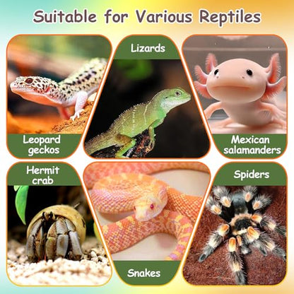 2PCS Reptile Thermometer and Hygrometer Gauge Adhesive Digital Terrarium Hygrometer Reptile Tank Accessories for Bearded Dragon Jumping Spider Leopard Gecko Lizard Ball Python Hermit Crab