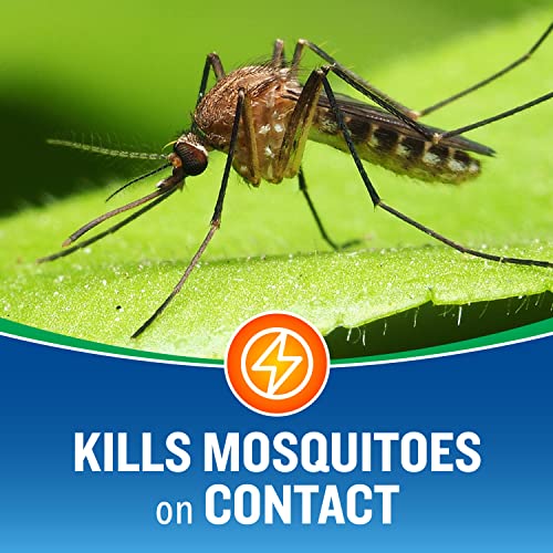 Cutter Backyard Bug Control Outdoor Fogger 16 Oz, 3 Pack | Kills Mosquitoes, Gnats, Flies, Wasps & More, For Decks, Patios & Picnic Areas, Treats up to 1,200 Cu Ft - size: 3 Pack