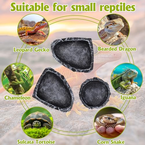 3 Pack Reptile Water Dish, Samll Snake Water Bowl, Bearded Dragon Food Dish | Leopard Crested Gecko Tank Accessories, Feeding Dish Kit for Tortoise, Lizard, Frog, Hermit Crab