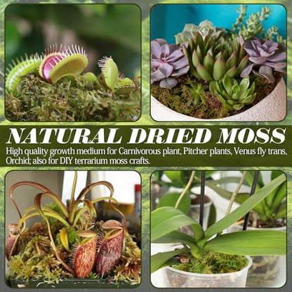1.1 lb Premium Sphagnum Moss for Reptiles | 25 qt Green Natural Reptile Moss Bedding, Long Fiber Reptile Moss for Leopards, Geckos, Snakes, Turtles, Frogs - color: 1.1lb