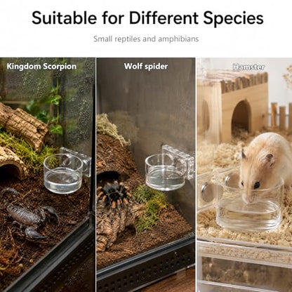 2 Pack Jumping Spider Feeding Dish – Acrylic Magnetic Water Bowl with Feeding Tong | Leak-Proof Tarantula Food Dish Small Reptile Water Dish | Jumping Spider Enclosure Accessories - color: 2 pcs