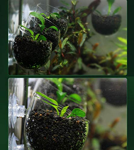 Tfwadmx Aquarium Plant Holder Pot Aquarium Decor Crystal Glass Aquatic Plant Cup with Suction Cups for Fish Tank Aquascape Decoration (4 Pack)