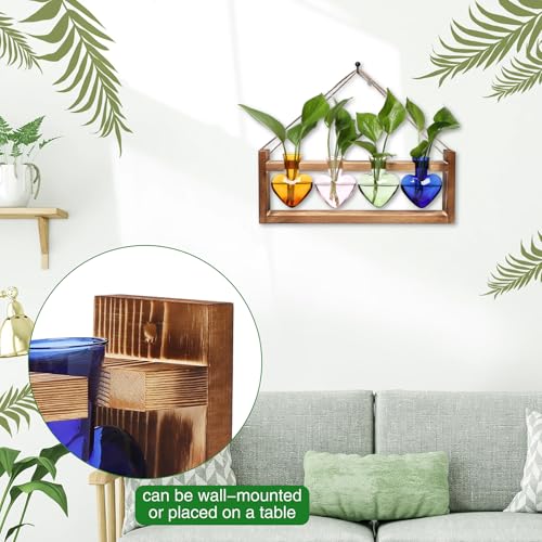 Plant Propagation Stations Heart Plant Terrarium Kit | Gift for Women Plant Lover Glass Vases - color: Color02