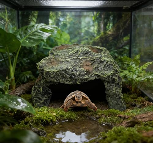 M2cbridge Fish Reptile Hideout Cave Terrarium Amphibians Habitat | Natural color careful craft, resting spot, solid and sturdy, water dish - style: Cave+ Water Dish