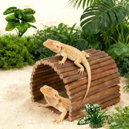Bearded Dragon Tank Accessories,Reptile Hide Bearded Dragon Hide Wooden Bridge Tortoise Habitat Accessories Basking Platform Hideout for Tortoise Snake Ball Python Lizard Crested Gecko(19.7 x 8.8)
