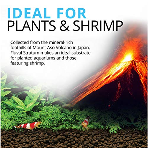 Fluval 12693 Plant and Shrimp Stratum for Freshwater Fish Tanks,4.4 Pound (Pack of 5) - color: Stratum, size: 4.4 Pound (Pack of 5)