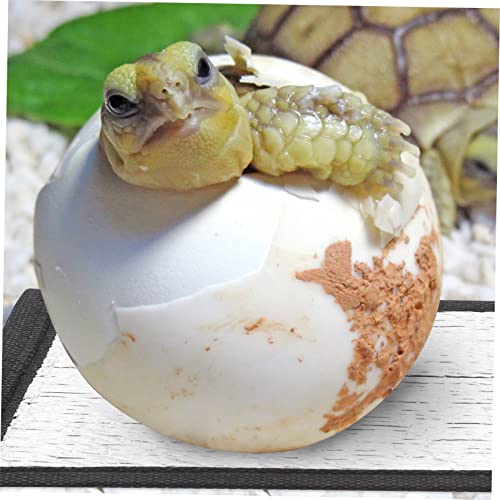 6pcs Winter Pet Warmer Heating Pad for Reptiles Terrarium Insulation Mat Reflective Heat Pad for Turtles Lizards Snakes Comfortable Warmth for Cold Days