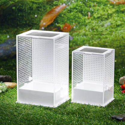 2 Pcs Feeding Box Insect Breeding Container Transparent Habitat Reptile Tarantula Scorpion Lizard